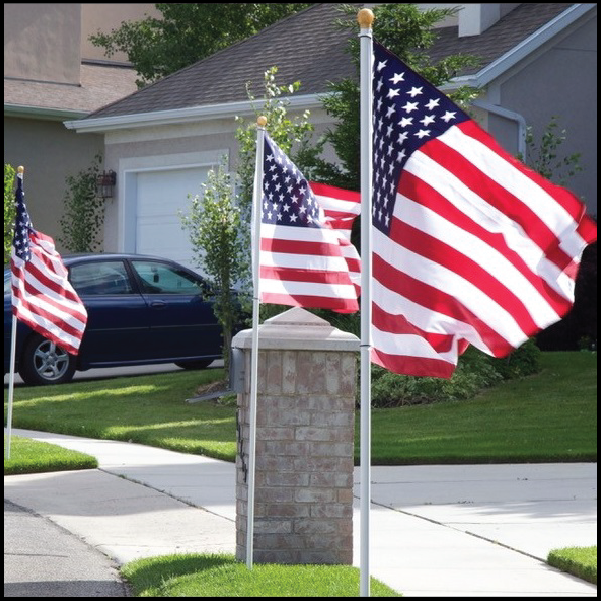 Troop 259 Flag Program